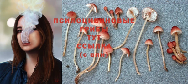 хмурый Балахна